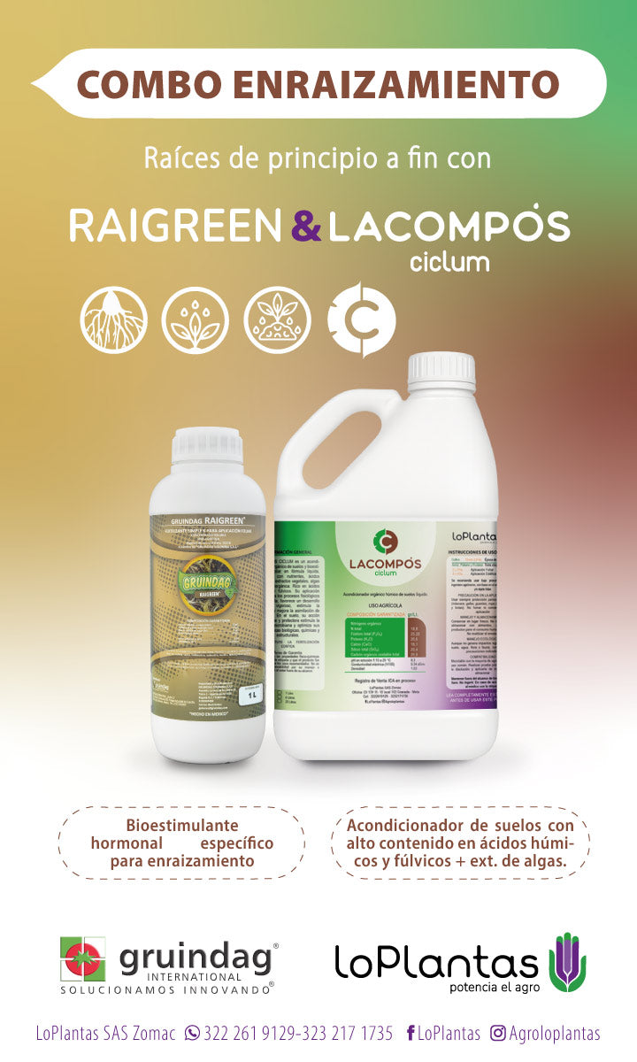 COMBO ENRRAIZAMIENTO RAIGREEN & LA COMPÓS