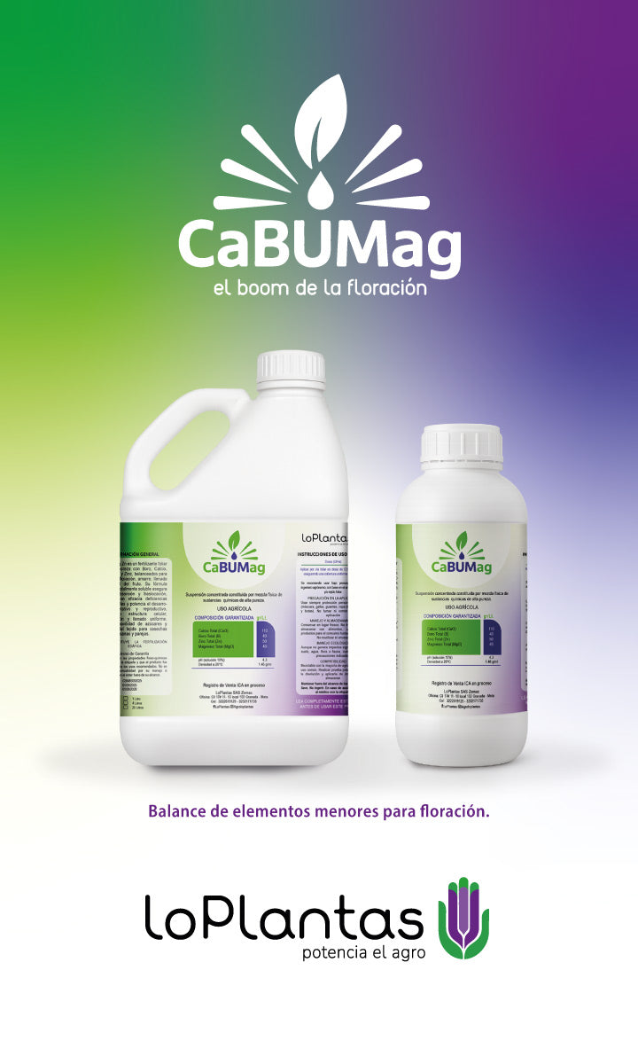 CABUMAG GALON  Y LITRO