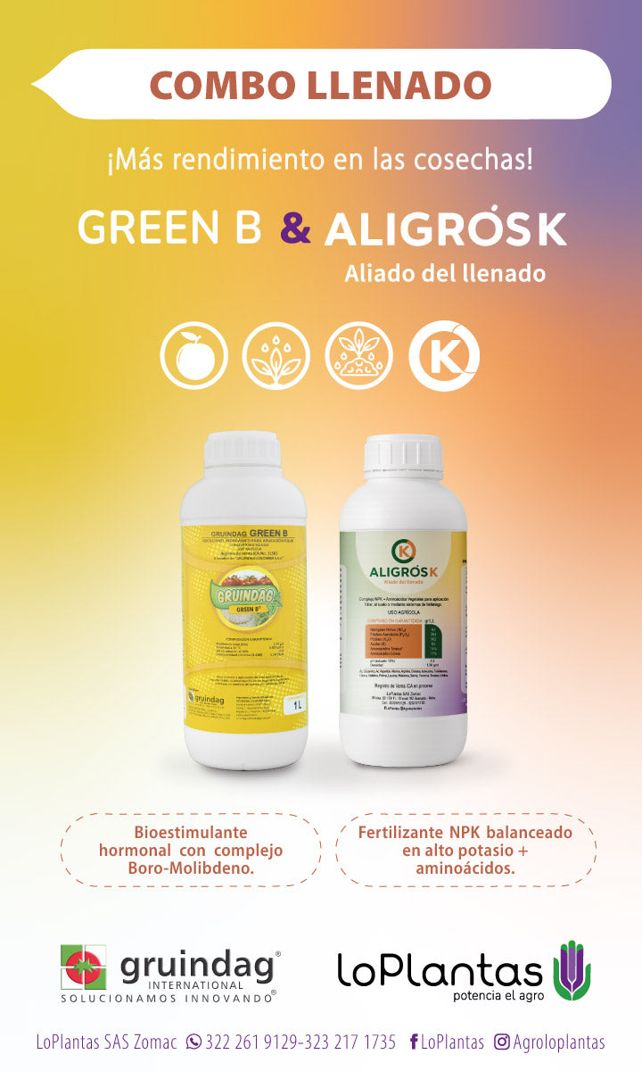 COMBO LLENADO  GREEN B & ALIGRÓS K