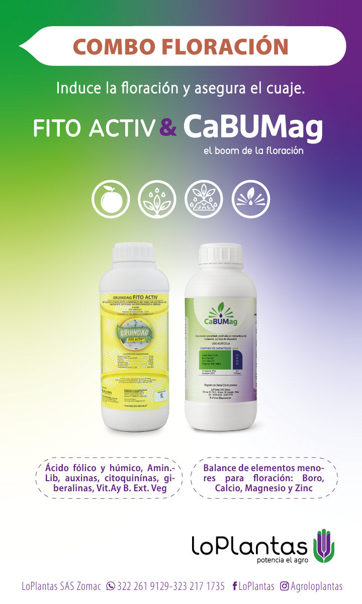 COMBO FLORACION  FITOACTIV & CABUMAG