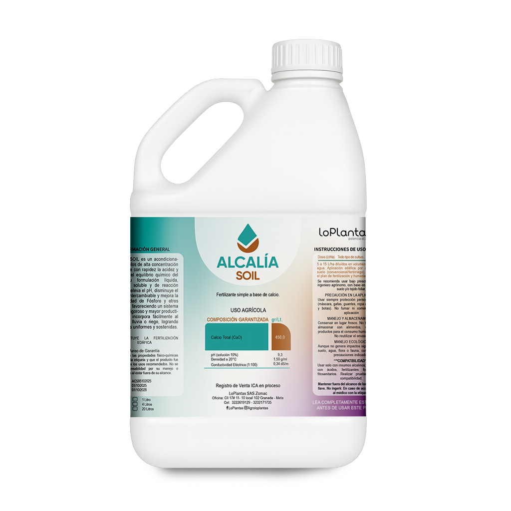 ALCALÍA SOIL