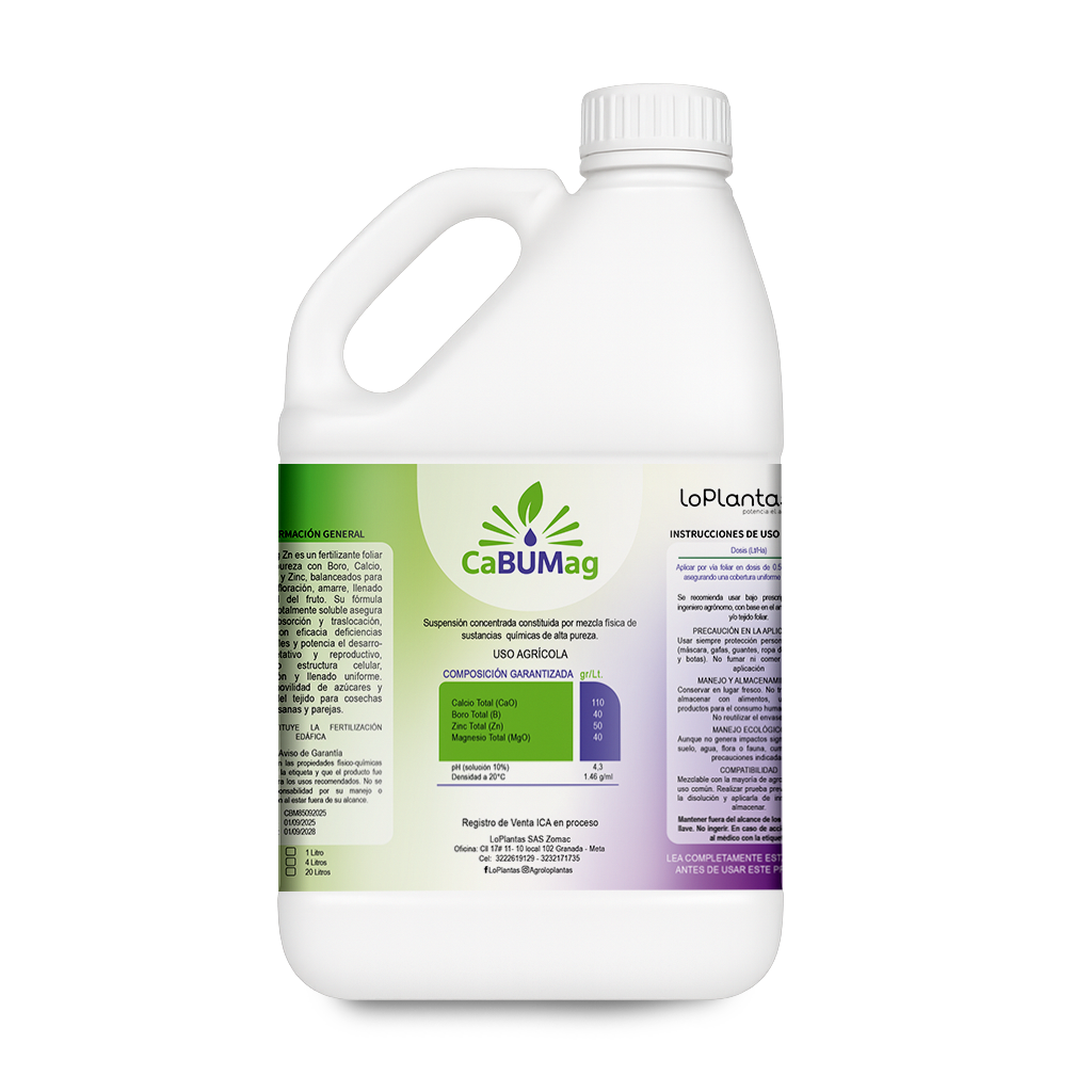 CABUMAG GALON  Y LITRO